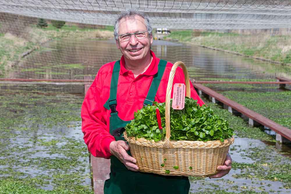 Ralf Fischer mit geernteter Brunnenkresse